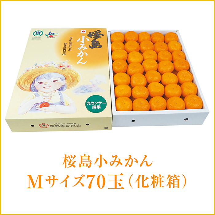 みかん様 リクエスト 5点 まとめ商品 みかん様 リクエスト 5点 まとめ商品