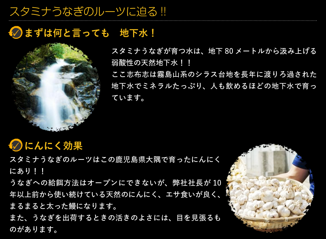 スタミナうなぎのルーツ