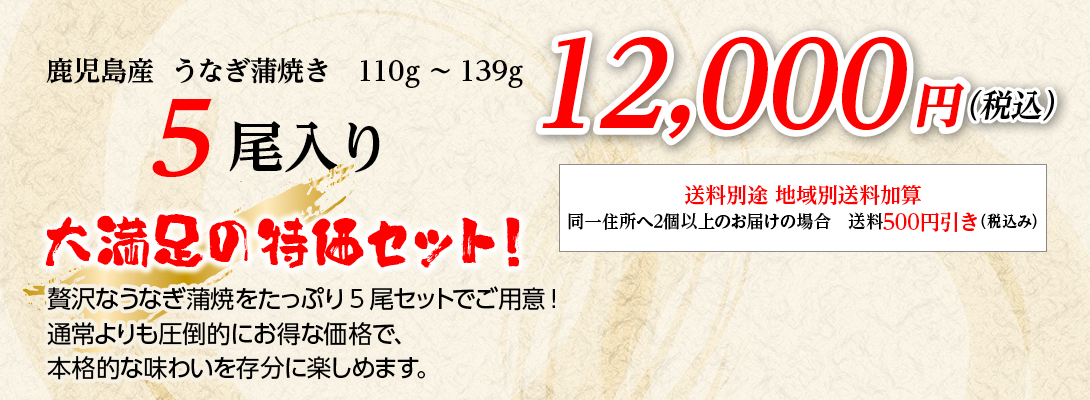 鹿児島産うなぎ蒲焼き5尾入り