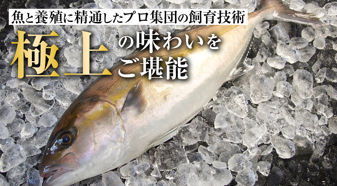 魚と養殖に精通したプロ集団の飼育技術