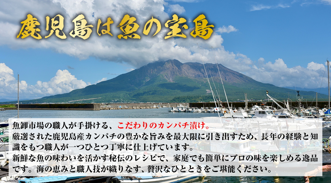 鹿児島は魚の宝島