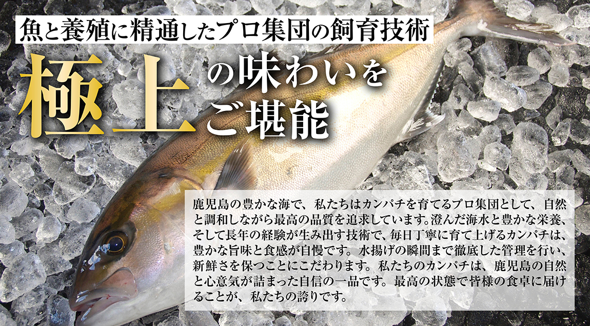 魚と養殖に精通したプロの集団