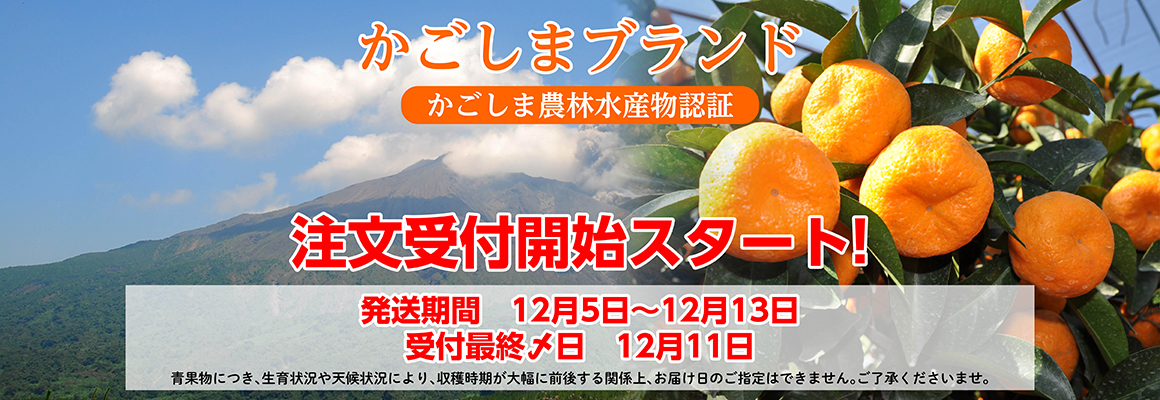 桜島小みかん通販 / 鹿児島ここまる / 鹿児島特産品の通販・お