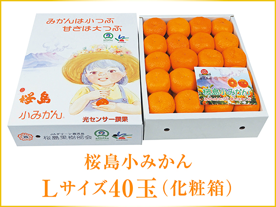 Apple - maruko様売約済み さくらんぼ「佐藤錦」（M～2Lサイズバラ詰め）500g×2パック