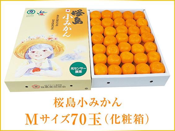 salim商品ご購入ありがとうございます(^^) タジマ SFKSN-P4 セフ着脱式工具差し ツールフック