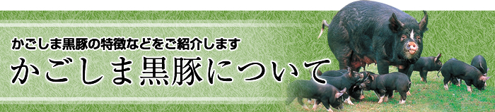 かごしま黒豚について