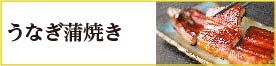 うなぎ蒲焼きの通販・お取り寄せ「鹿児島ここまる」