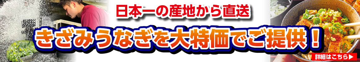 鹿児島県産きざみうなぎバナー