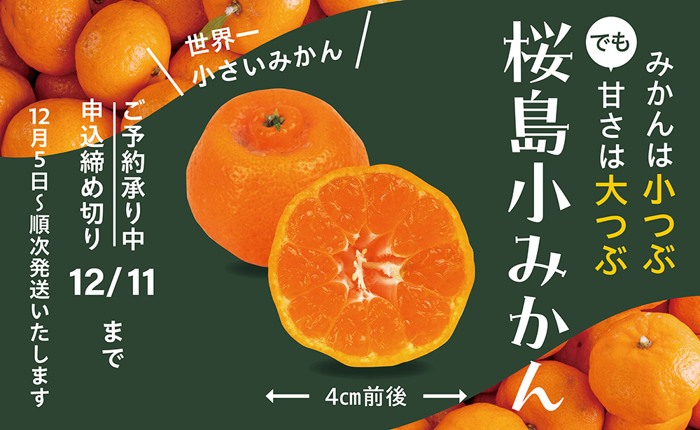 みかんは小つぶでも甘さは大つぶ桜島小みかん