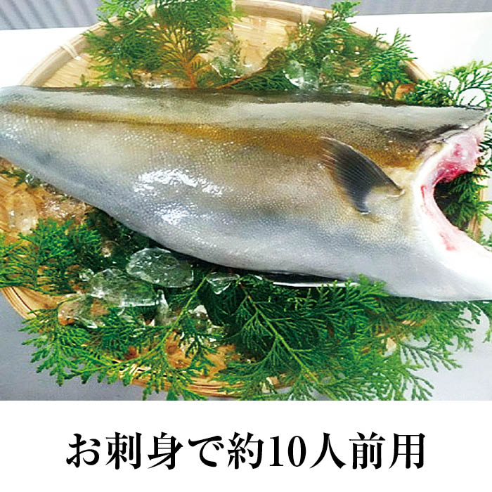 養殖カンパチ皮つき半身