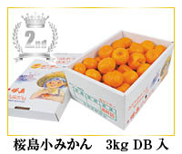 桜島小みかん 3kgDB入