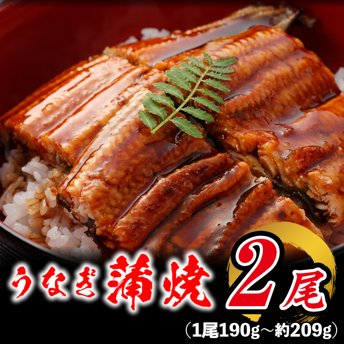 有頭 うなぎ蒲焼き 鹿児島産 約209g×2本