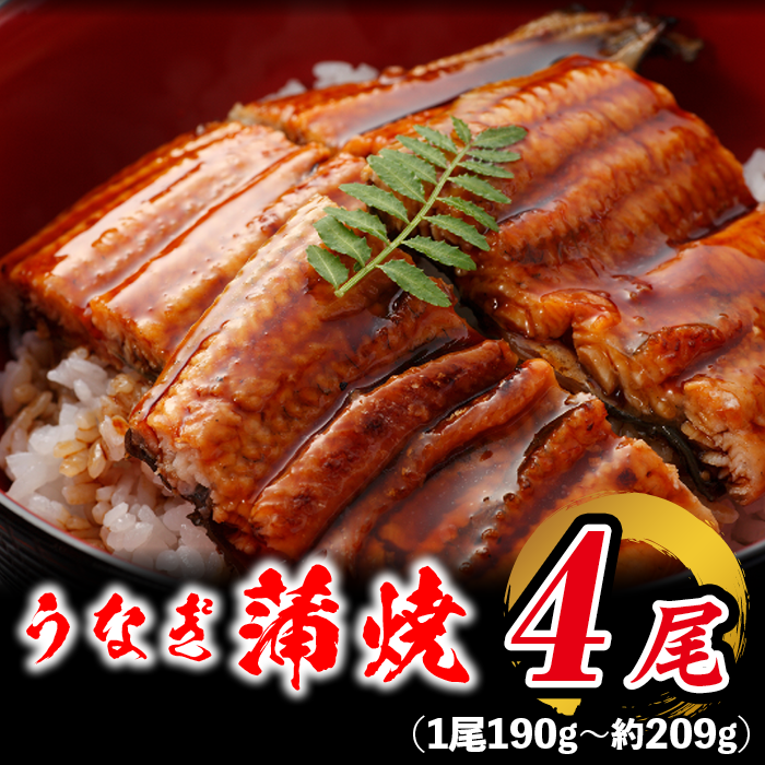 有頭 うなぎ蒲焼き 鹿児島産 約209g×4本 